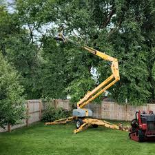 Best Arborist Consultation Services  in Leesburg, VA